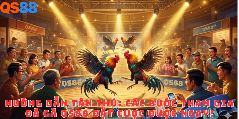 Đá gà QS88